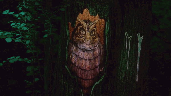 600_338gif 动态图 动图