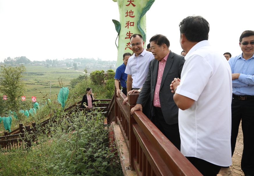 進行時今天汽車玻璃大王曹德旺去了安順這些地方