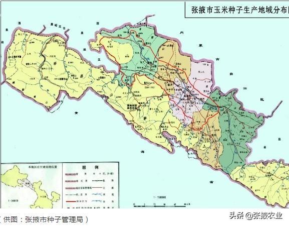 2015年,《张掖市农作物种业发展规划(2015—2020年)》(下称《张掖规划
