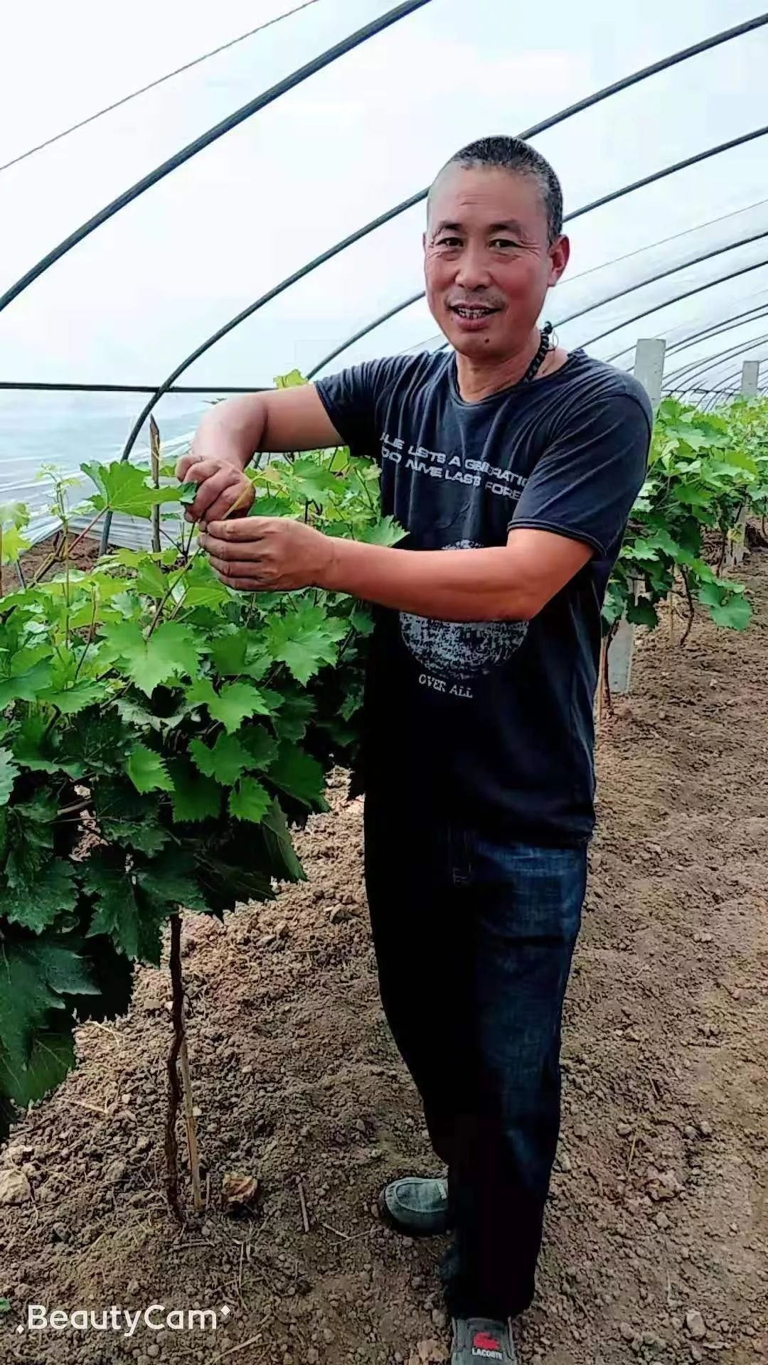 白文彬和他的网红葡萄相信网络紧跟市场风向标好果园系列二十一