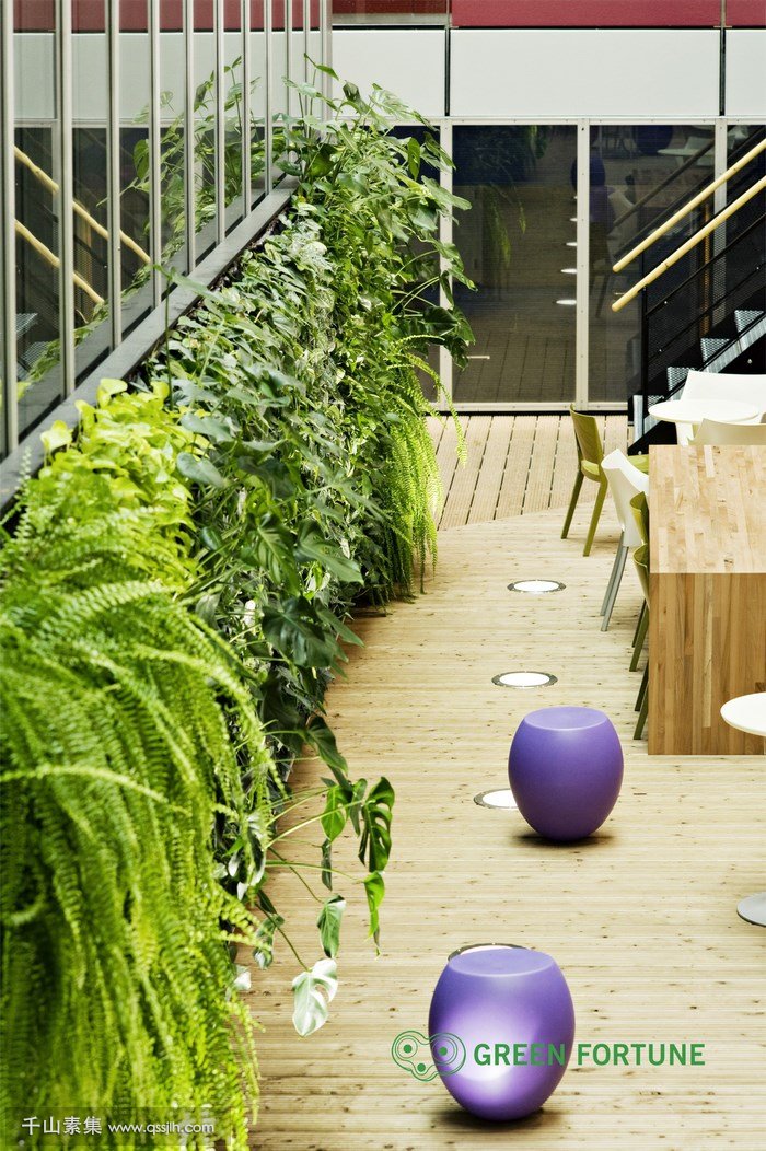 enexis公司垂直绿化 创意休闲空间_植物