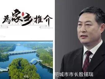 "肥"常爱家乡,这个地方的在外人才"燕归来"!_肥城