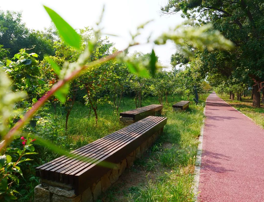 民生顺义这4条景观类健身森林绿道等待您的到来