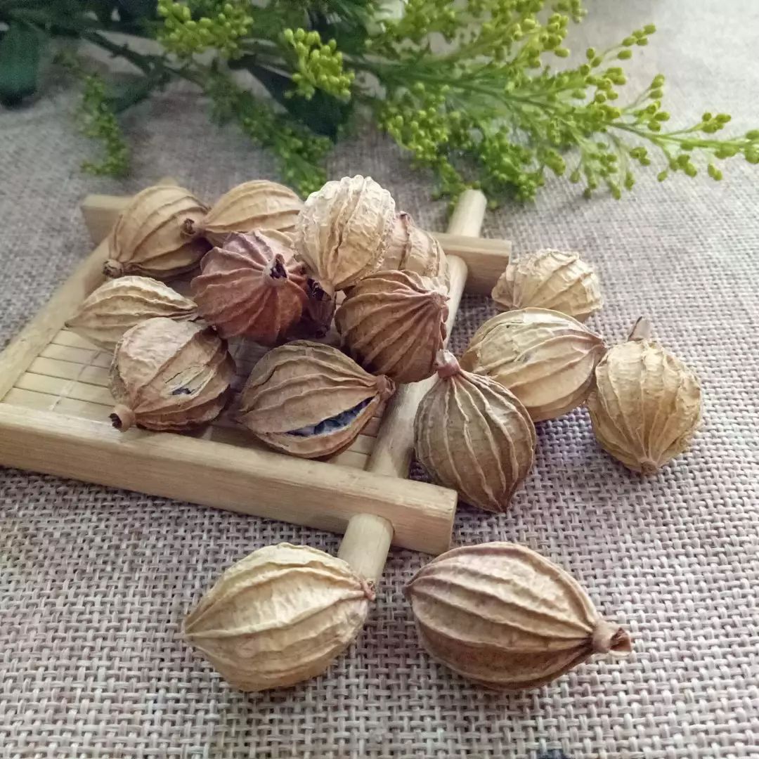 草果2个,香砂4个,增香香果1个,毕卜2个,《本草纲目》记载草果服之可温