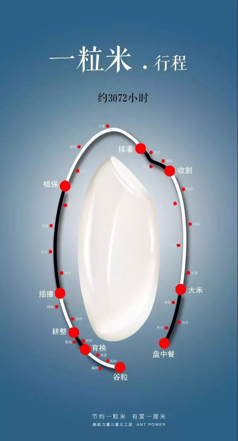 节约一粒米图片大全图片