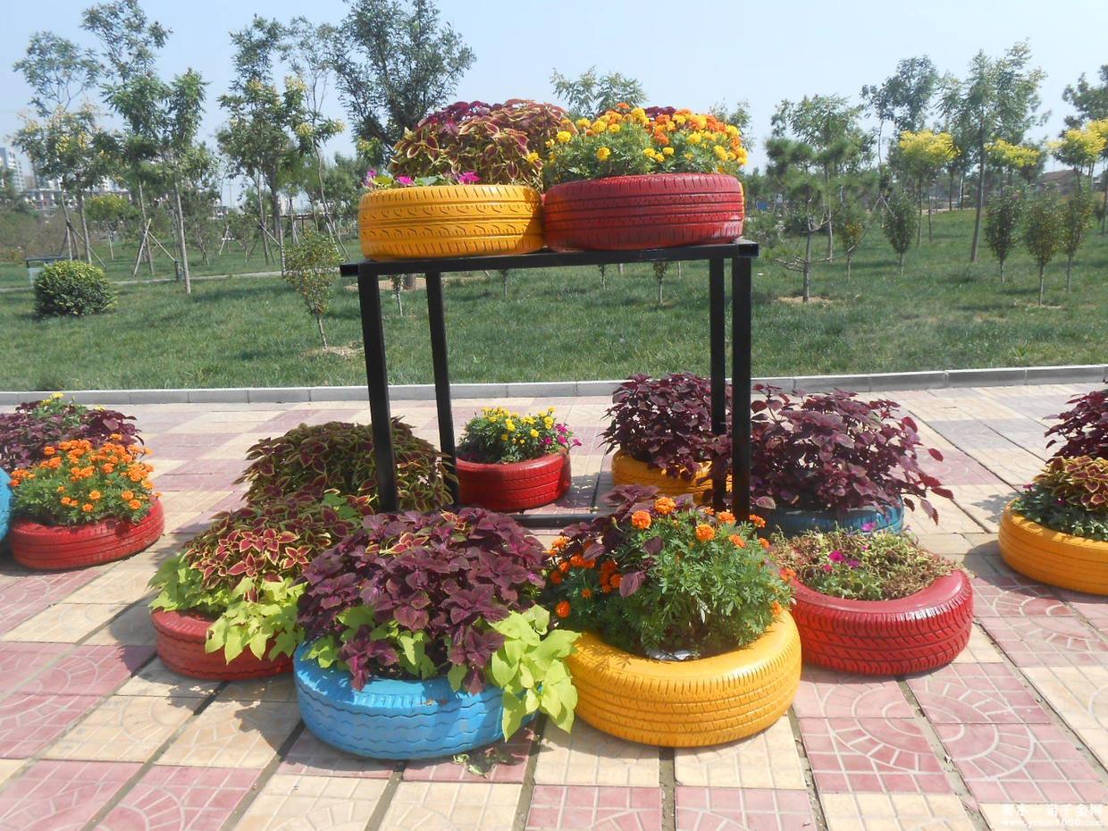 轮胎原来也可以养花填入土就能养都不舍得扔掉了