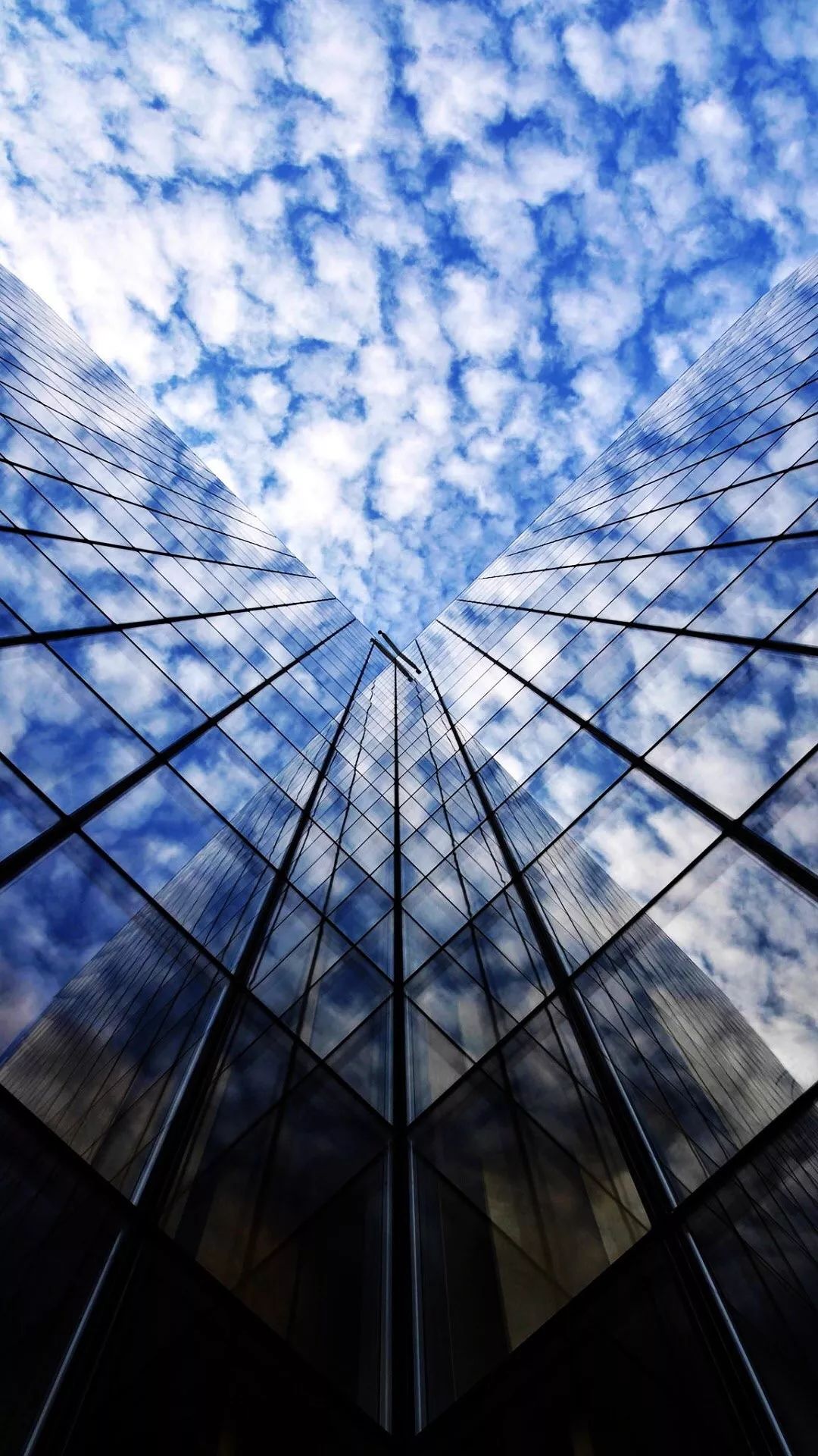 教你如何拍好仰拍!_仰角