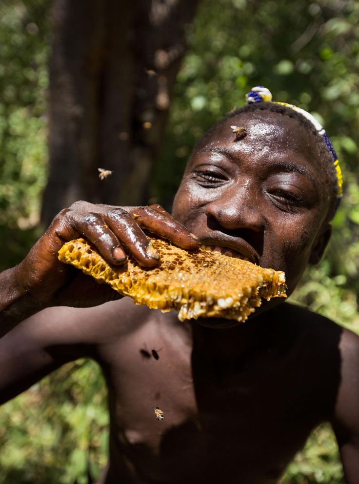 一个拒绝农耕的黑人部落认为浪费时间打猎才能更快得到食物