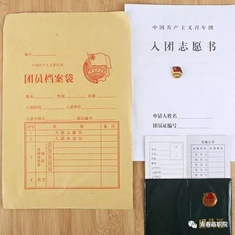 团员全部成为注册志愿者并可查验团员档案