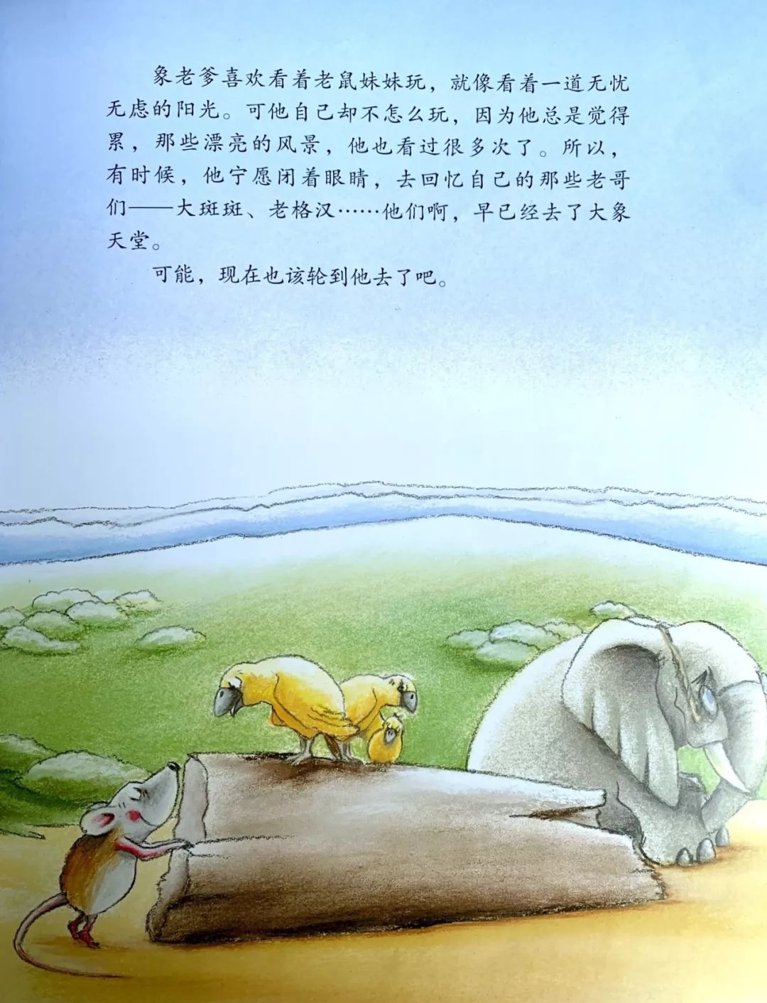 【晚安故事】《象老爹》