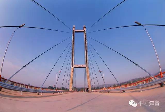 固定登车桥：月台上那个不动的“支点”，如何撬动装卸效率