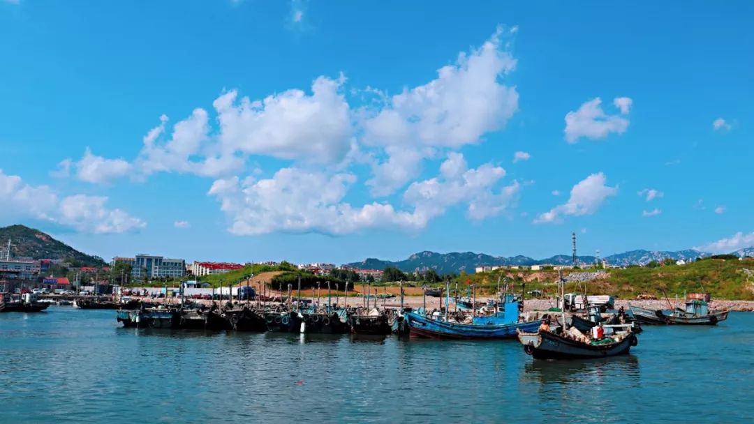 实拍揭秘青岛渔港码头风景美如画海鲜这样打捞