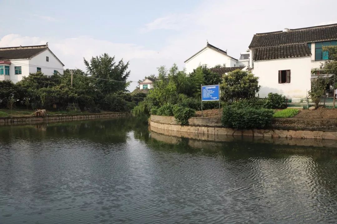 查水质,促整改,临湖镇党委书记邹文明视察苏东运河_相关