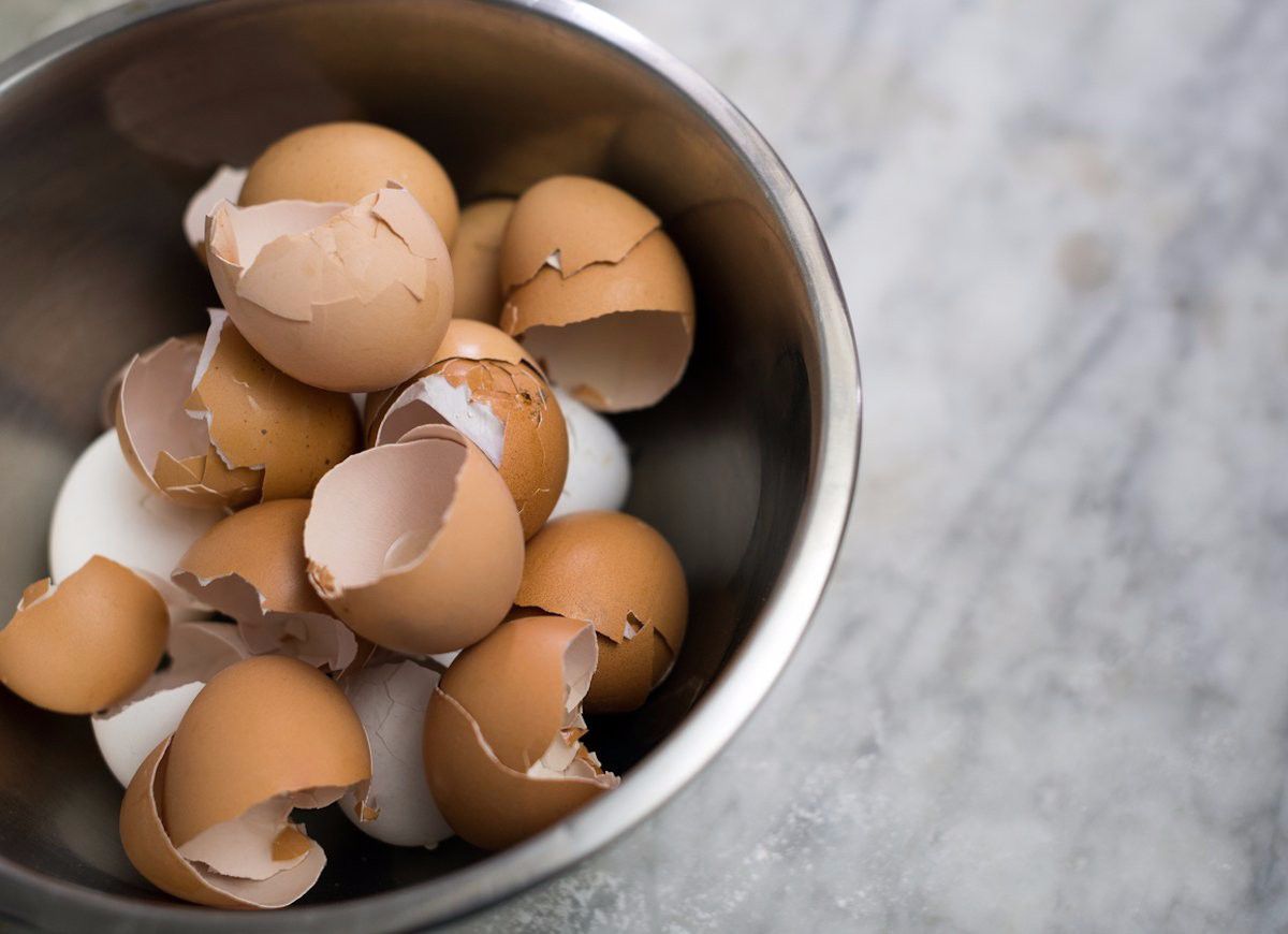 鸡蛋壳是一种非常优秀的堆肥材料,也是能够释放钙元素