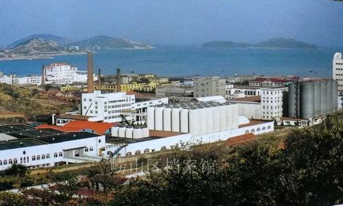 1981年8月8日,崂山啤酒厂在沙子口破土兴建.1984年9月试产成功.