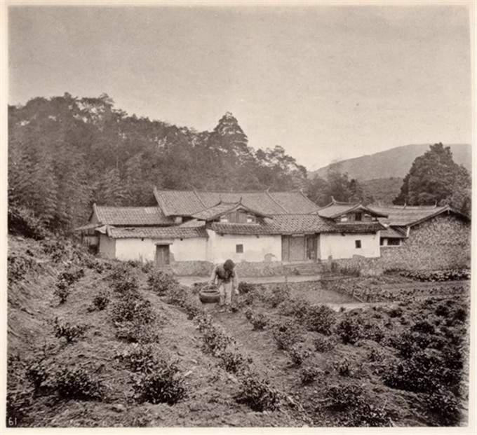 晚清时期农村的景象,农民饿着肚子在土地上劳动-搜狐大视野-搜狐新闻