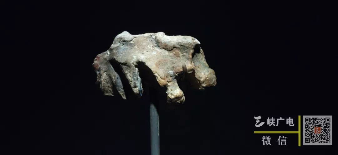 长阳人"左上颌骨及牙齿化石在这里寻根巴源清江风情三峡展厅内,展示