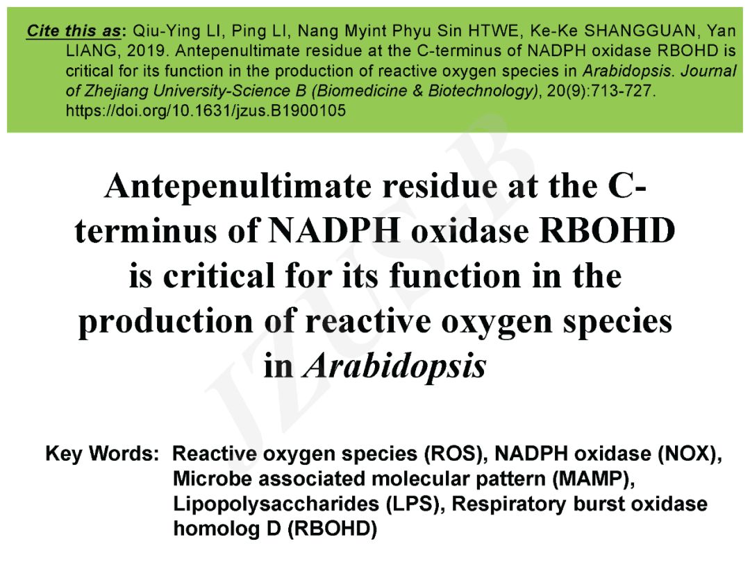 浙江大学梁岩等拟南芥nadph氧化酶rbohd羧基端倒数第三