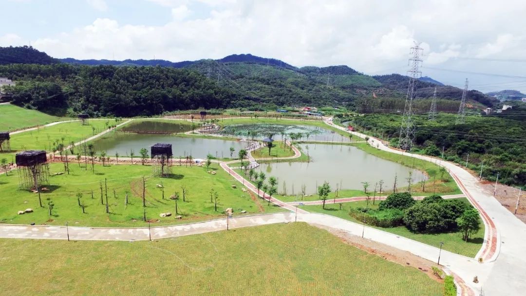 东莞清溪这个风景如画的湿地公园,预计这月底开放咯!