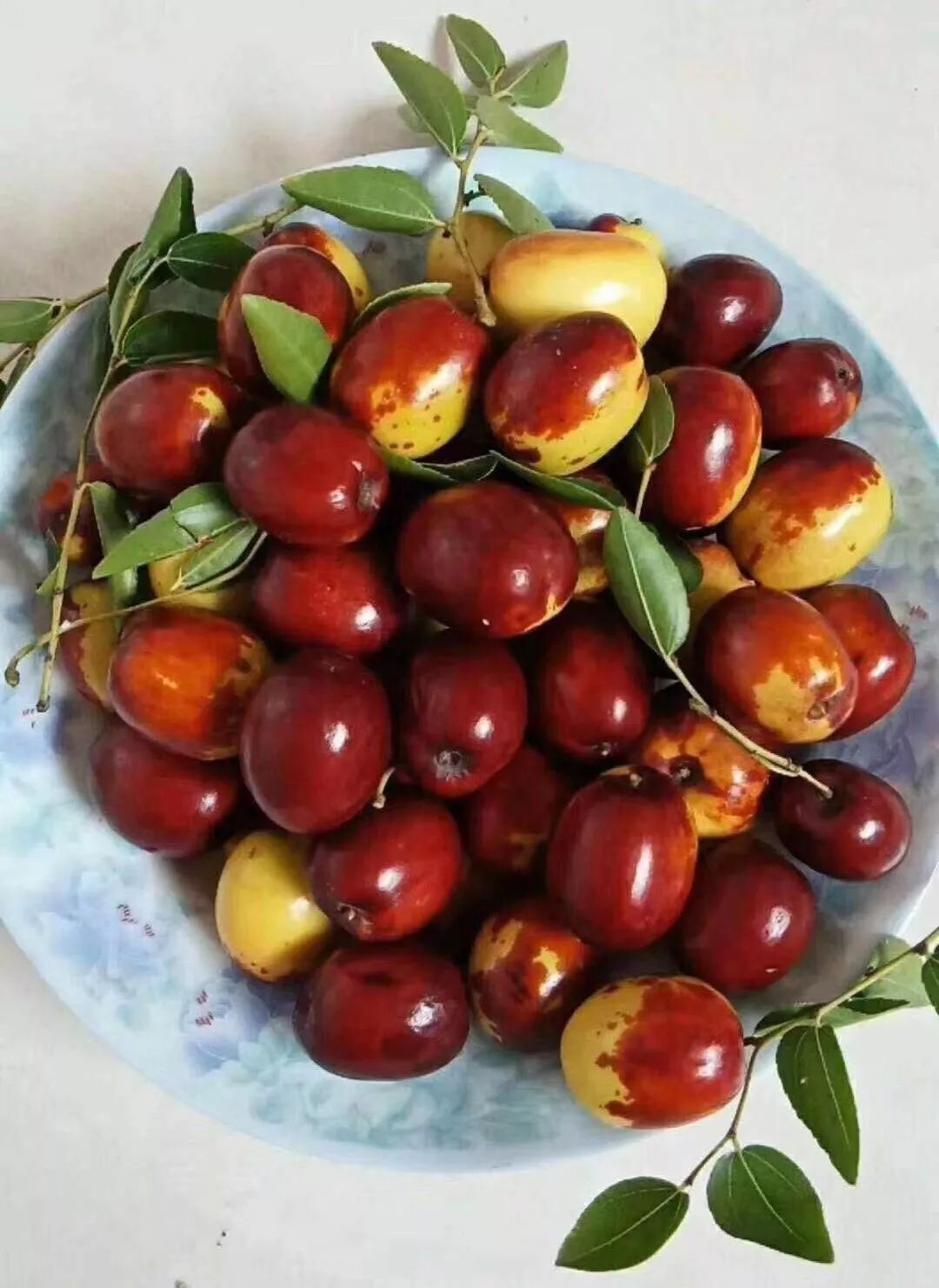 老家枣刚下树新鲜现摘枣味浓一口脆甜解秋燥怎么都吃不腻