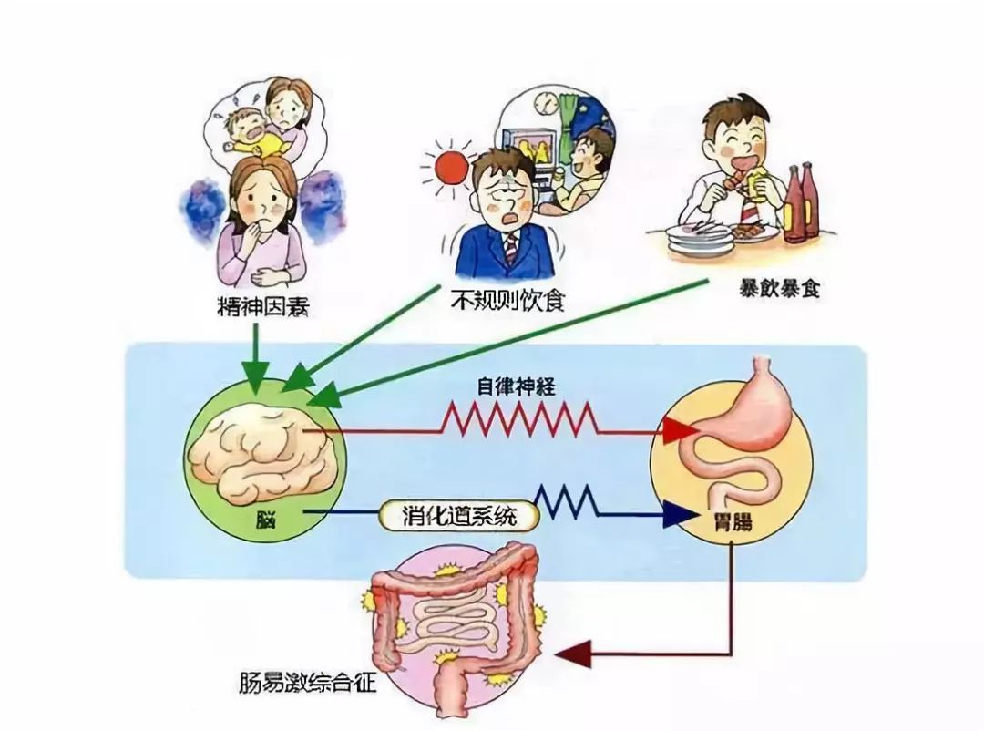 重磅來襲中國首個鳥苷酸環化酶激動劑令澤舒r在惠仁堂開始預訂啦