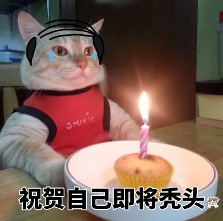 生日蛋糕表情包合集祝你生日快樂