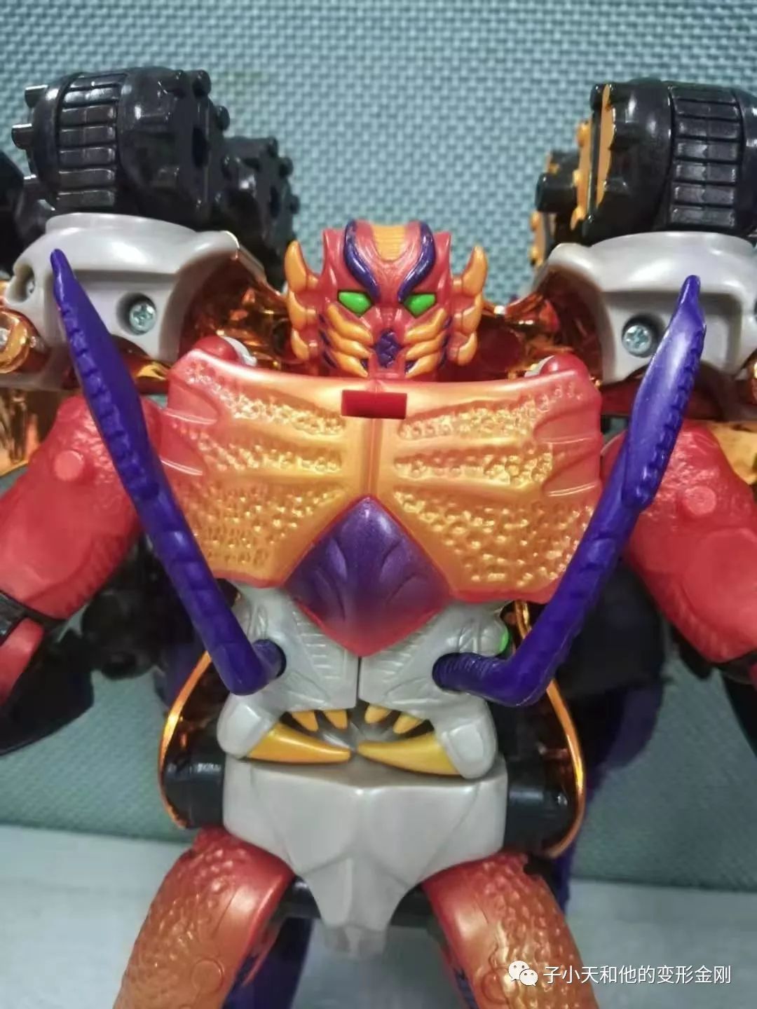 评玩具子小天粑粑总测评变形金刚bw原生体x狂飙中秋节来两只大闸蟹