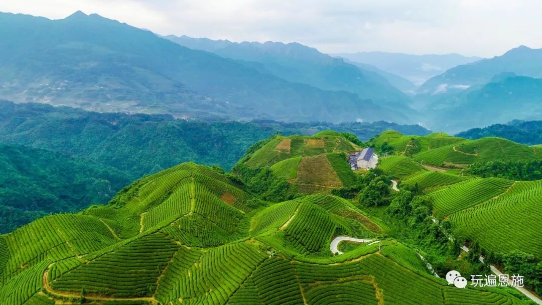 萬里茶道木耳山巍巍群峰滿眼綠