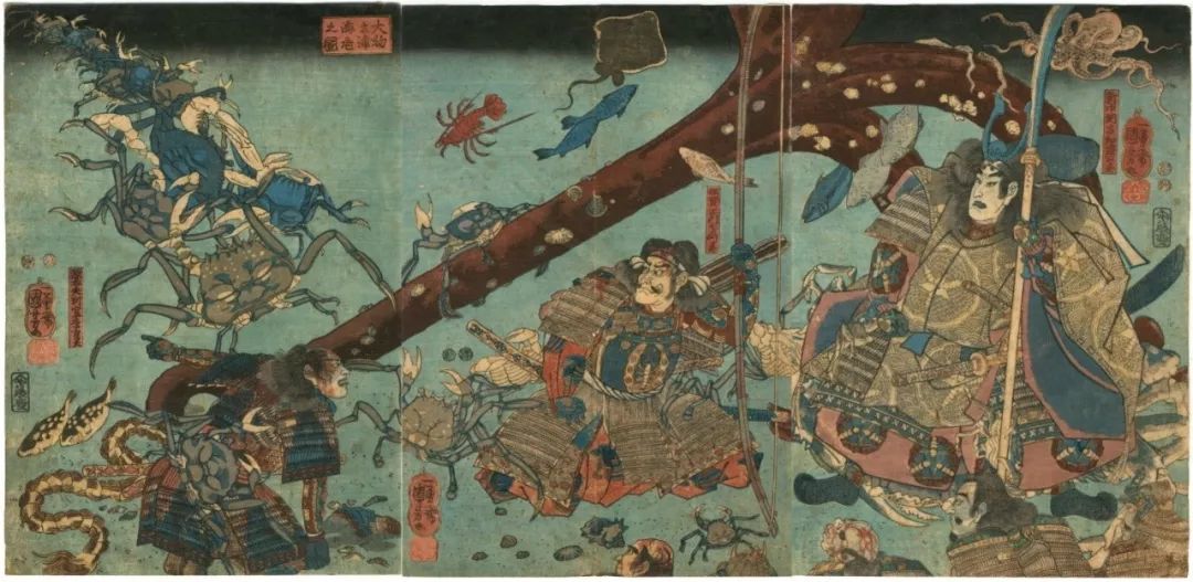 望京场周日螃蟹认知与饲养课9月8日