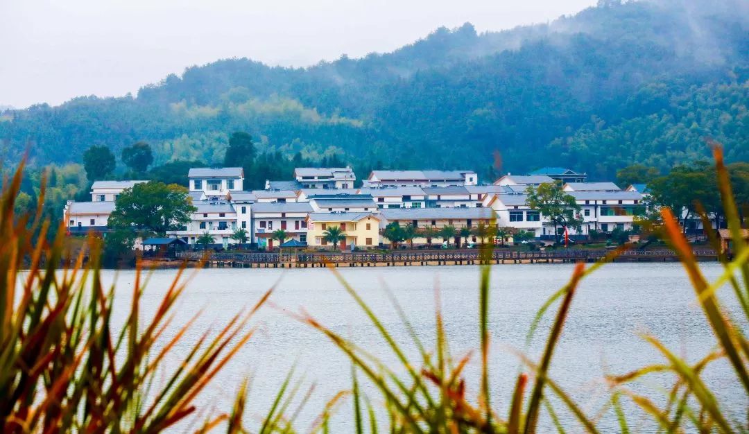 壮丽70年奋斗新时代砚溪镇村展新颜湖里渔家醉游人