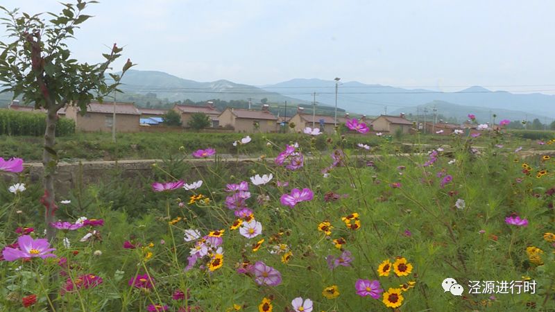 美丽乡村在说话 新民乡"变脸记"_农村