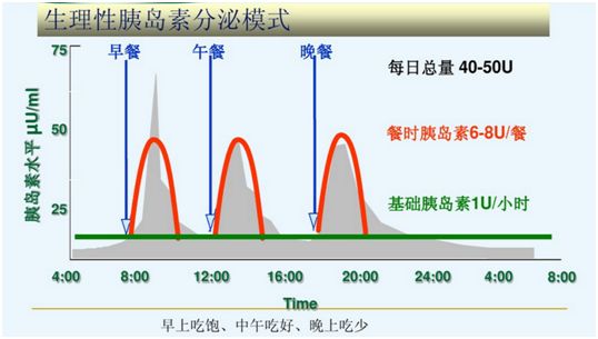 这是正常的生理胰岛素分泌模式当然签约前我们需要看一下你在三甲医院