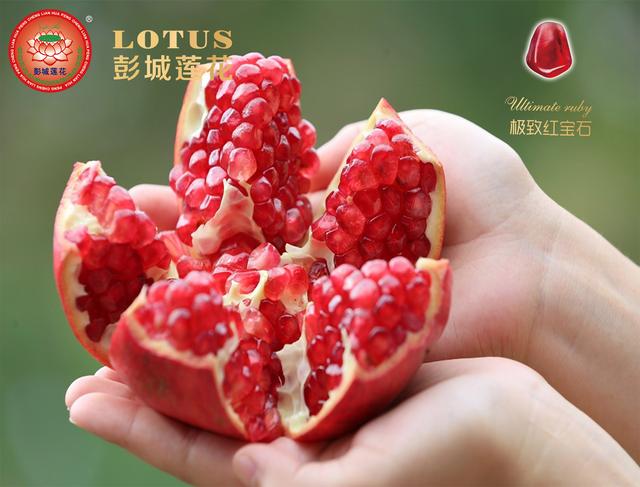 可以吃的红宝石——"彭城莲花"极致红宝石软籽石榴_水果