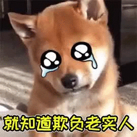 270_270gif 动态图 动图