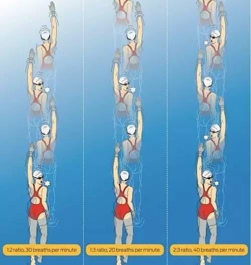 自由泳如何才能吸到更多的空气?