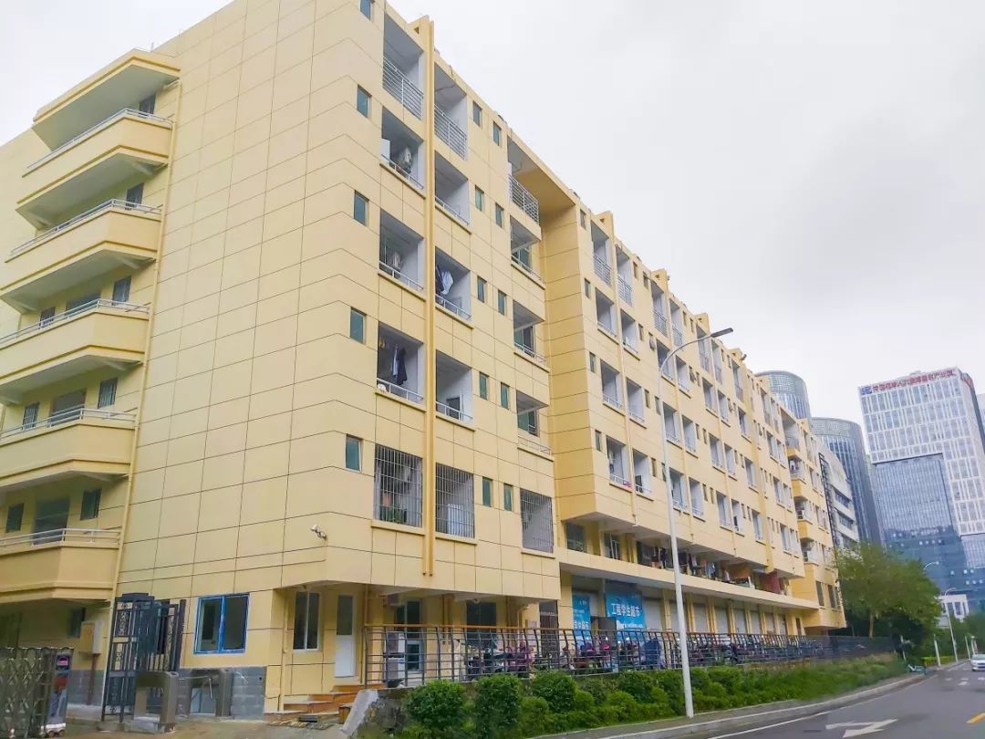 的图书馆窗外苍树茂绿你只需静心向学铜盘校区购入全新床架雪白的墙壁