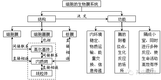 中心第四章 細胞的物質輸入和輸出1本章核心概念主要概念:被動運輸