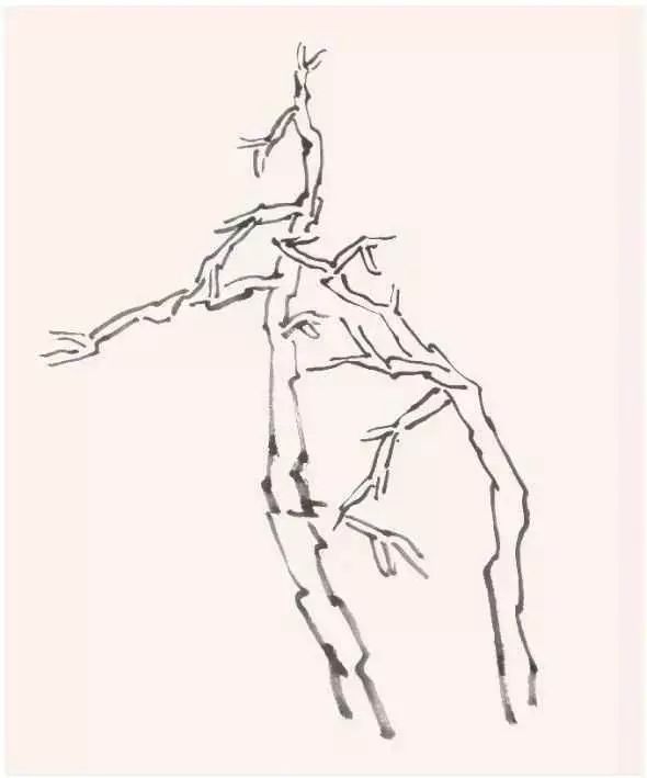 山水画教程国画山水中各种树的画法及步骤