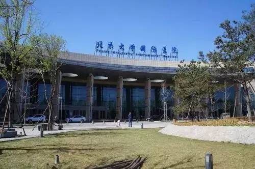 北京大学国际医院(北京大学国际医院罗成华主任简介)