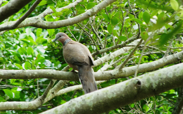 640_400gif 动态图 动图