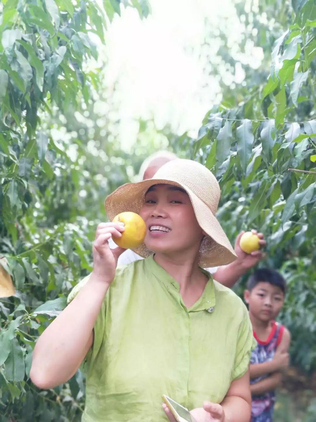 到新安这里采摘有机时令水果,甜蜜胜似初恋_果园