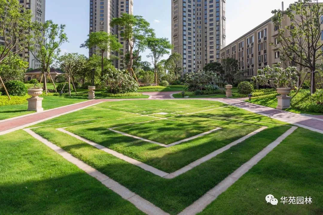 草坪,美炸的景观要素