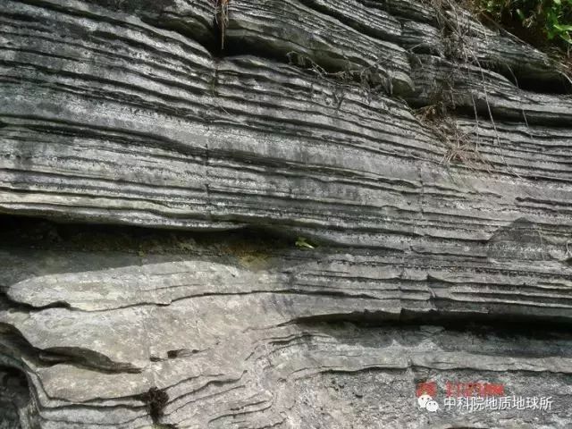 中国的11颗金钉子剖面分布