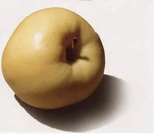 超强干货丨最全面的色彩静物教程教你理解快速掌握色彩静物