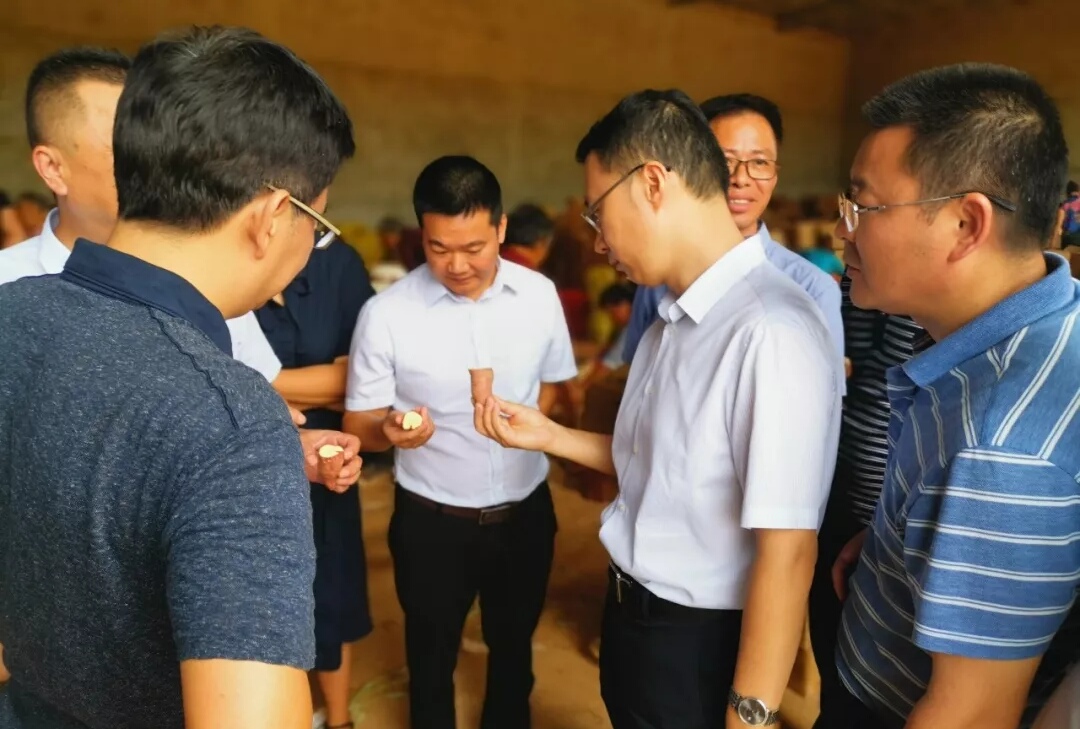 微生物菌剂的绿色革命：开启现代农业新时代