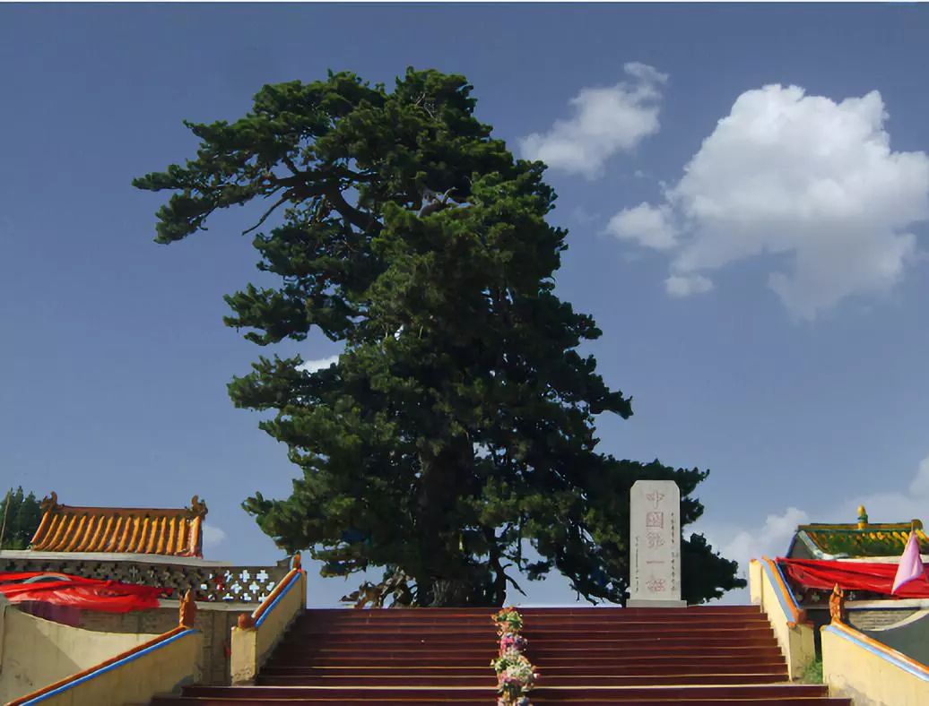 【点赞】全国人民都知道了!准格尔旗再次上榜全国大名单