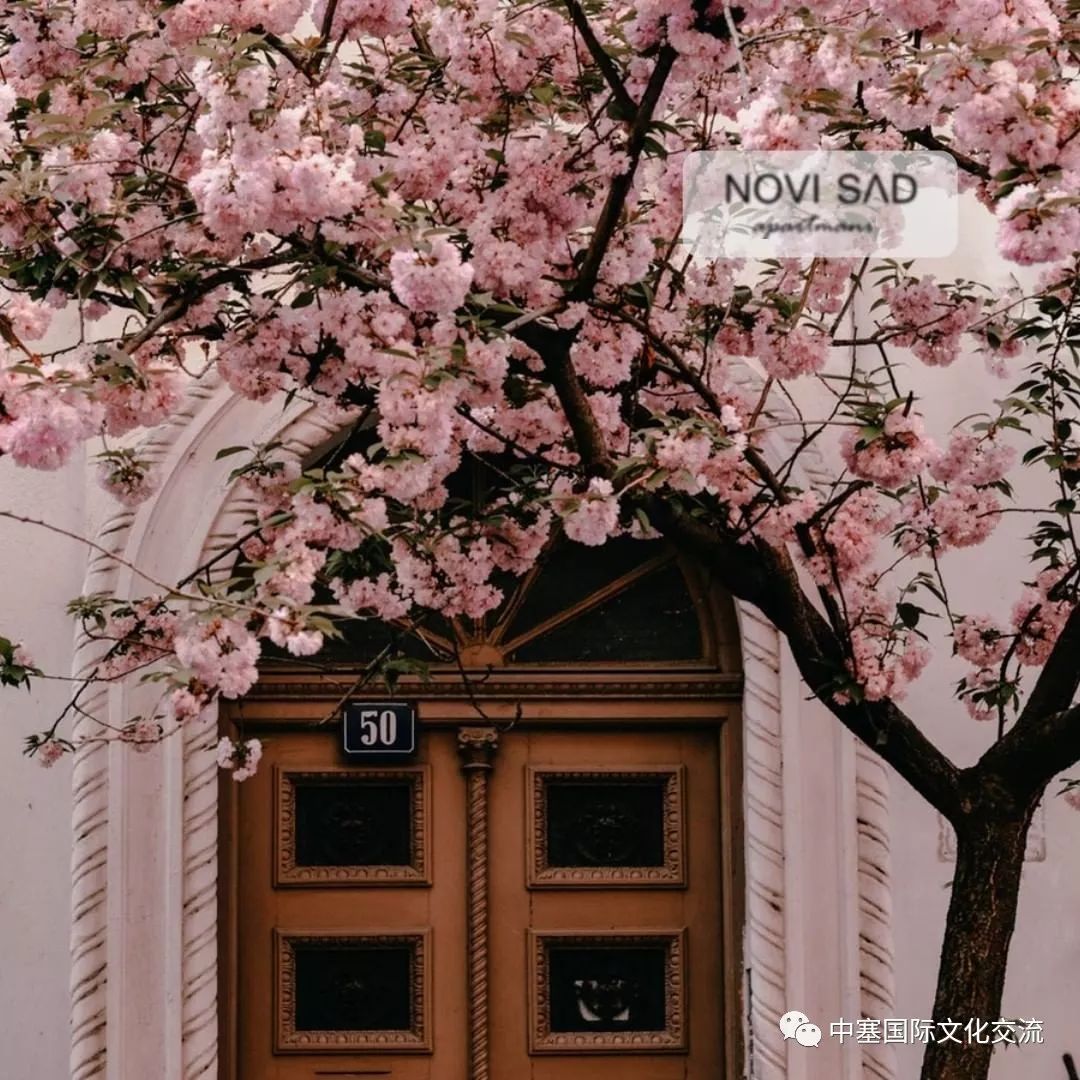 塞尔维亚旅行小指南，货币兑换、刷卡、银联实用攻略！_搜狐网