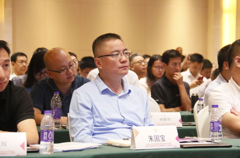 永远在路上全国智标委组织峰会观众领略丹阳智慧之光