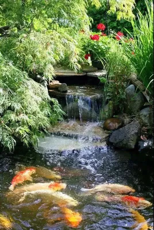 御梵景观30款花园鱼池合集总有一款你喜欢