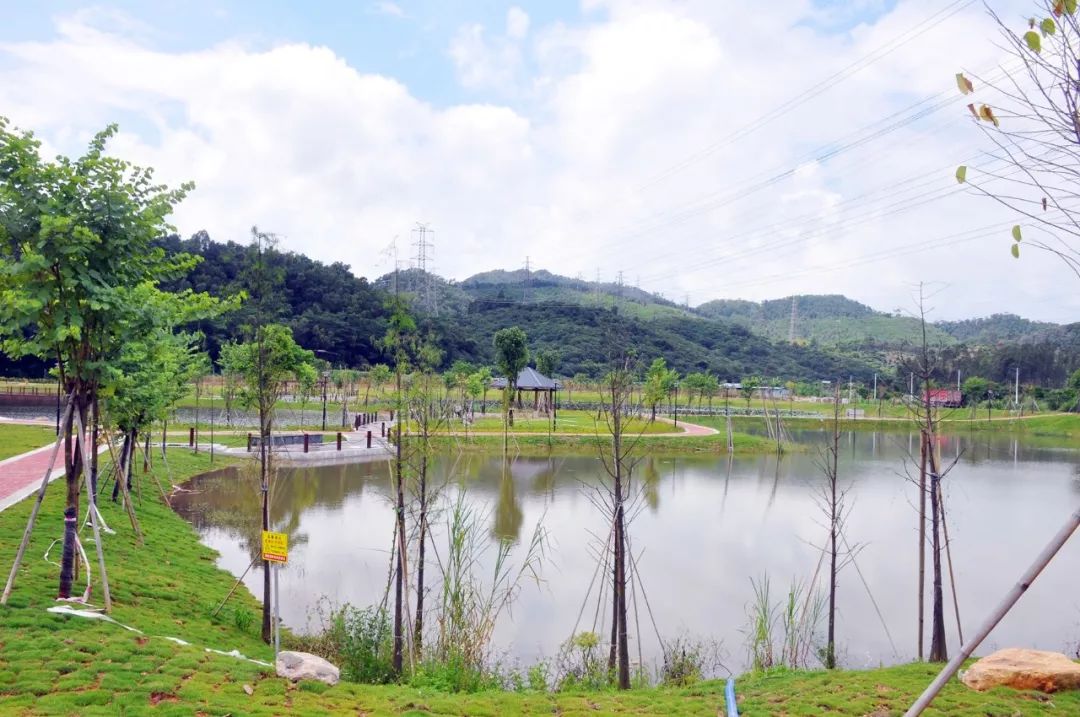 据了解,清溪镇山水天地森林公园,契爷石水库坝区及周边,景观升级改造